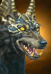 Jackal Portrait